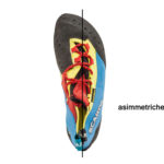 La Chimera di Scarpa è molto asimmetrica