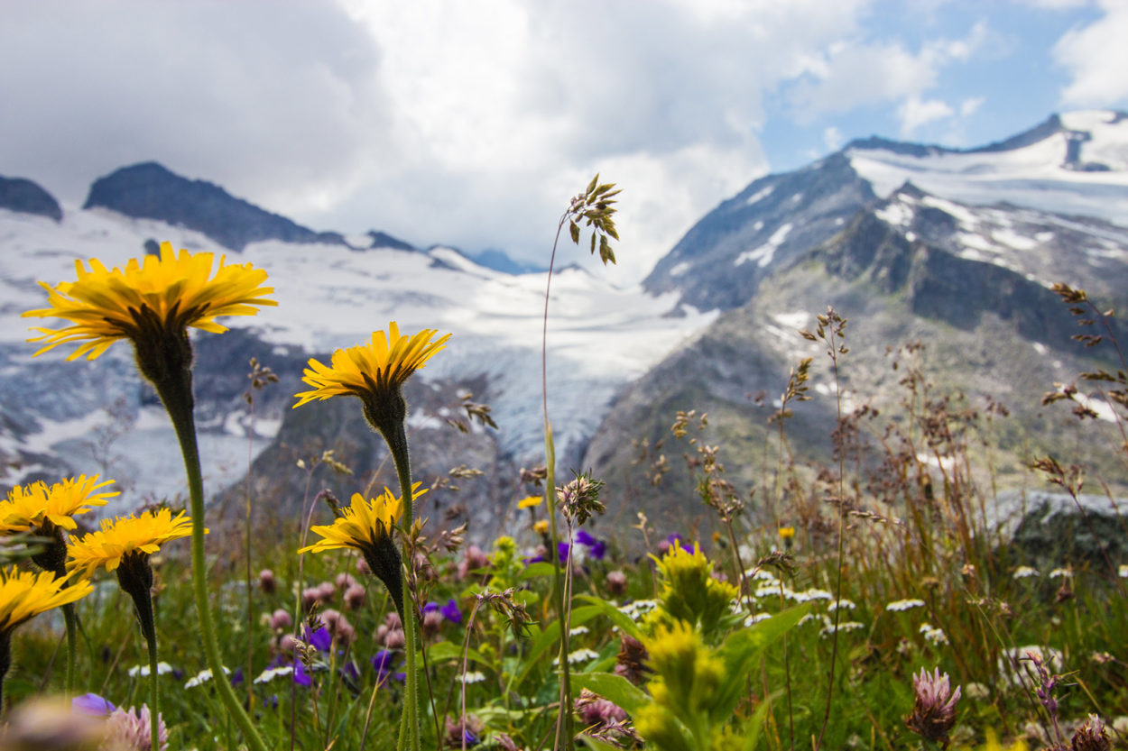 Vista dal rifugio Kürsinger sul Großvenediger