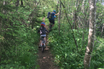 Due bambini in mtb pedalano in un sentiero in una foresta