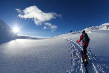 Sciatore segue le tracce nella neve fresca