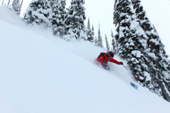 Freerider in discesa nella neve fresca