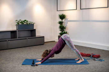 Posizione del cane a testa in giù