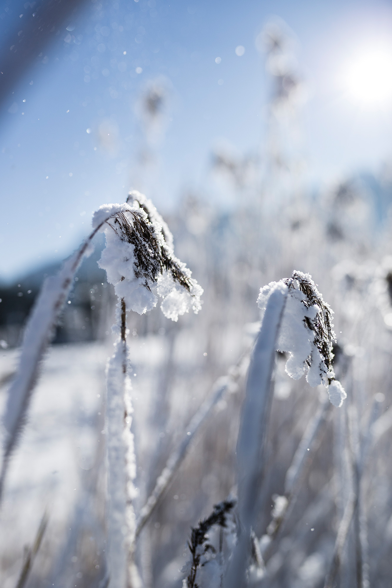 Abbigliamento invernale da ciclismo | Magazine Bergzeit