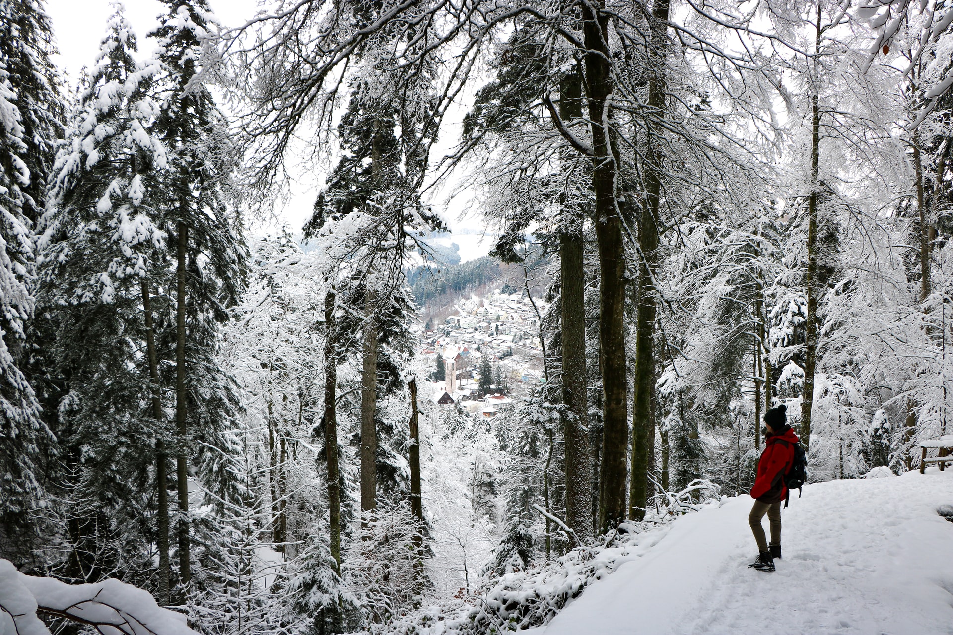 Bergzeit consiglia: le migliori scarpe per trekking invernali | Mag.  Bergzeit