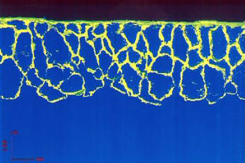 Penetrazione profonda della cera nel rivestimento.