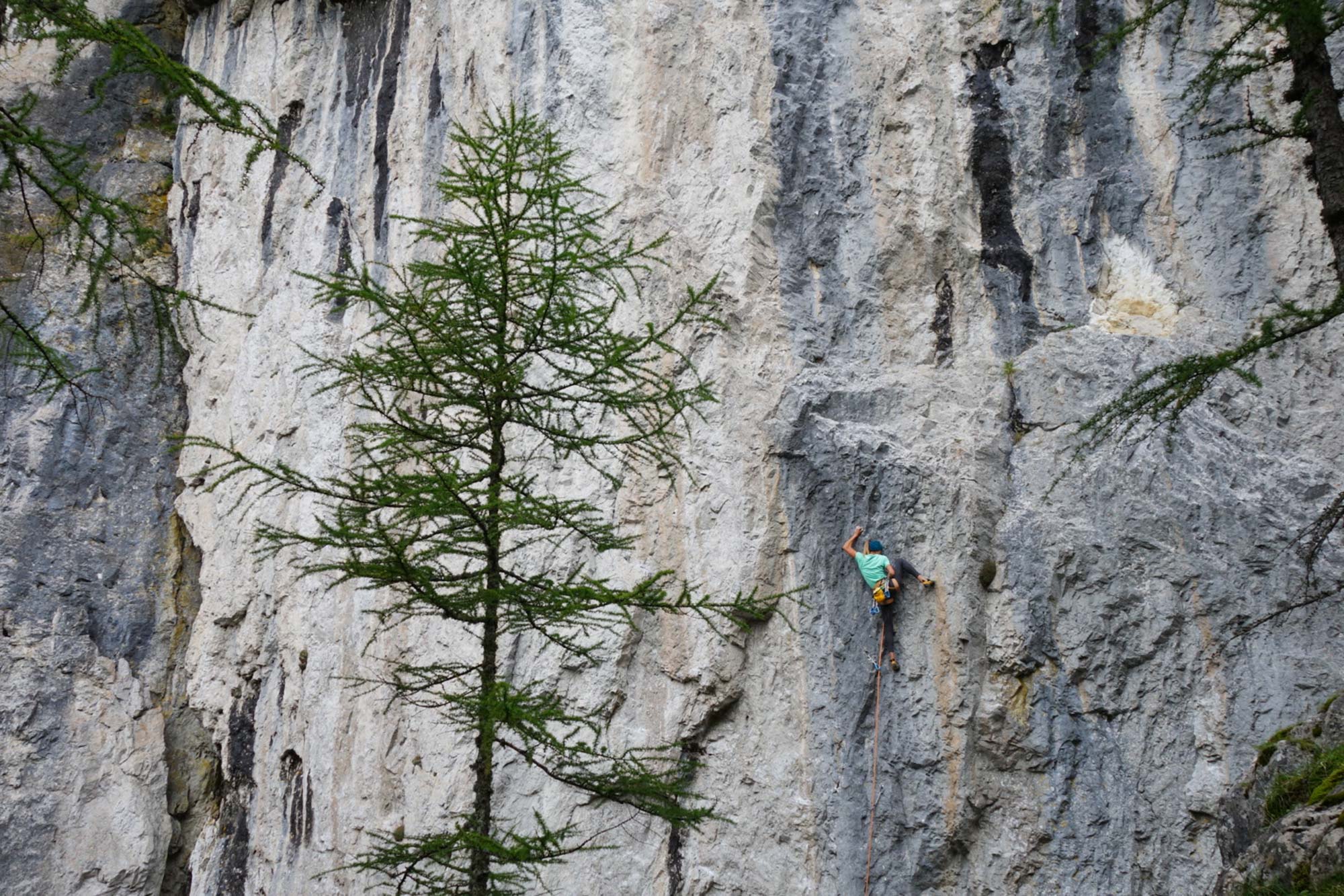 Federica Mingolla su Mai messo un tuo tassello, 8a, settore Laste