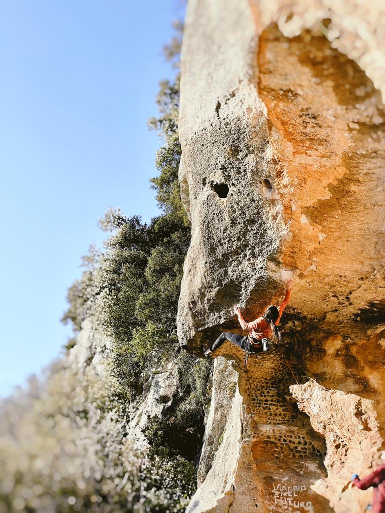 Monte Sordo - Alveare